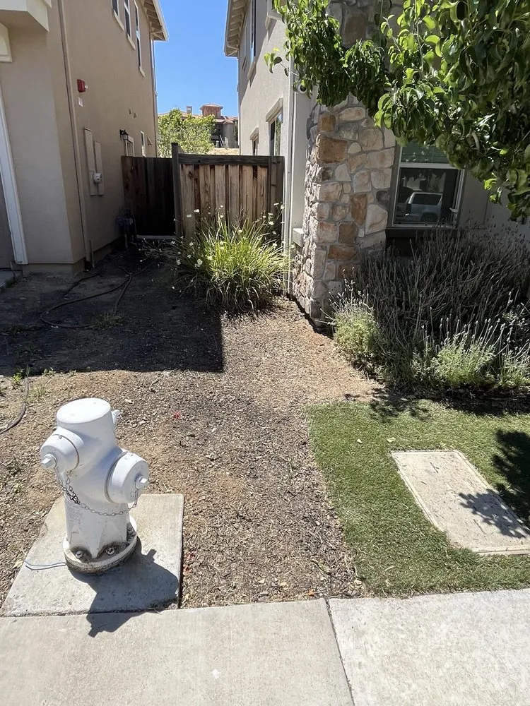 Professional yard cleanup service in San Jose, CA by South Bay Cleaning & Landscaping Services