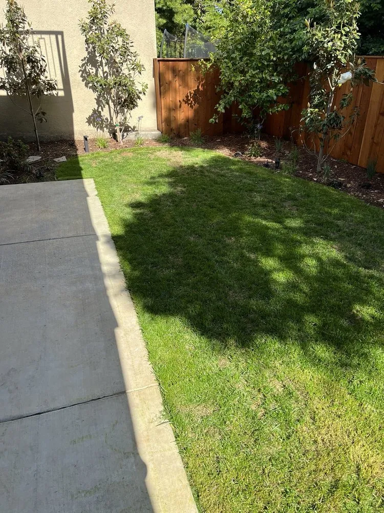 Custom lawn mowing service for outdoor upgrades in San Jose, CA by South Bay Cleaning & Landscaping Services