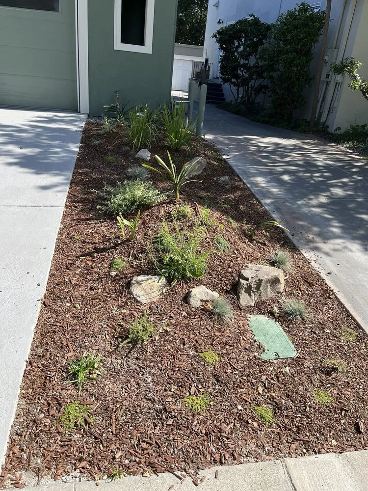 Expert garden landscaping in San Jose, CA - South Bay Cleaning & Landscaping Services