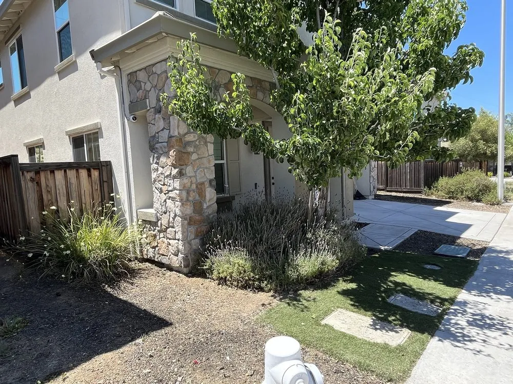 Custom landscape installation experts serving San Jose, CA - South Bay Cleaning & Landscaping Services