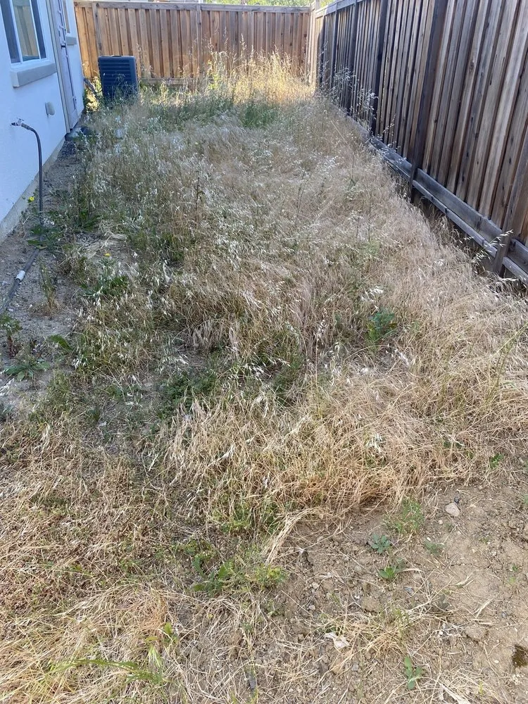 Reliable residential landscaping experts serving San Jose, CA - South Bay Cleaning & Landscaping Services