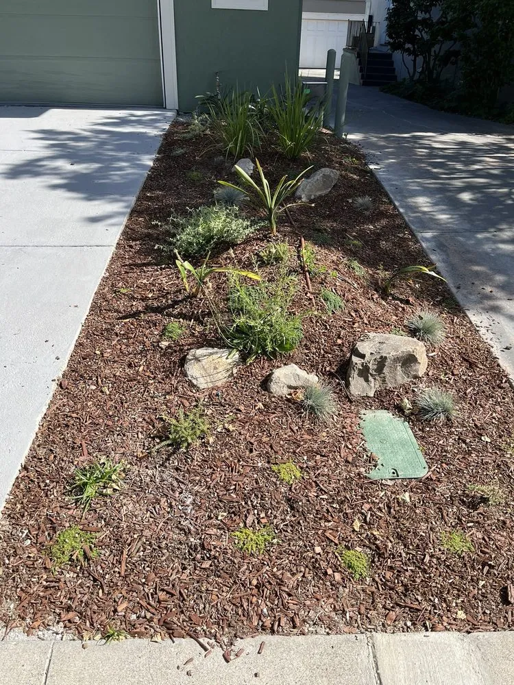 Expert yard maintenance for beautiful yards across San Jose, CA - South Bay Cleaning & Landscaping Services