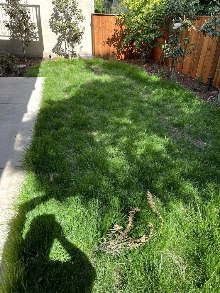 Trusted landscape design in San Jose, CA by South Bay Cleaning & Landscaping Services