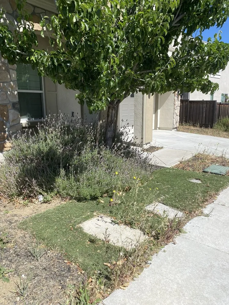 Custom landscape design for residential properties in San Jose, CA by South Bay Cleaning & Landscaping Services