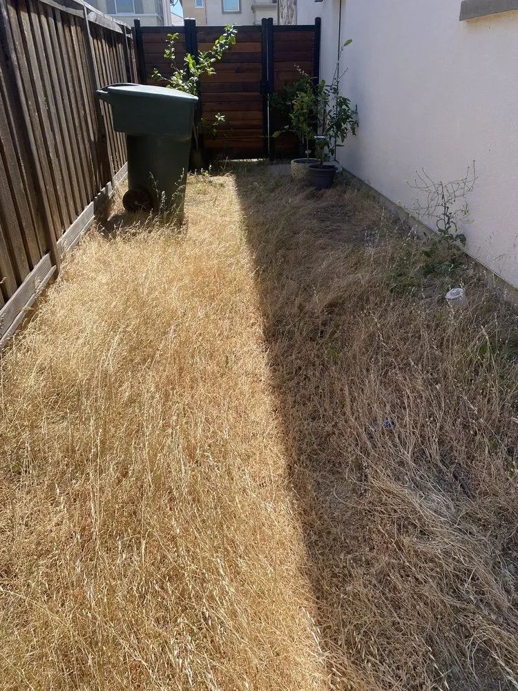 Affordable landscape installation with custom design across San Jose, CA - South Bay Cleaning & Landscaping Services