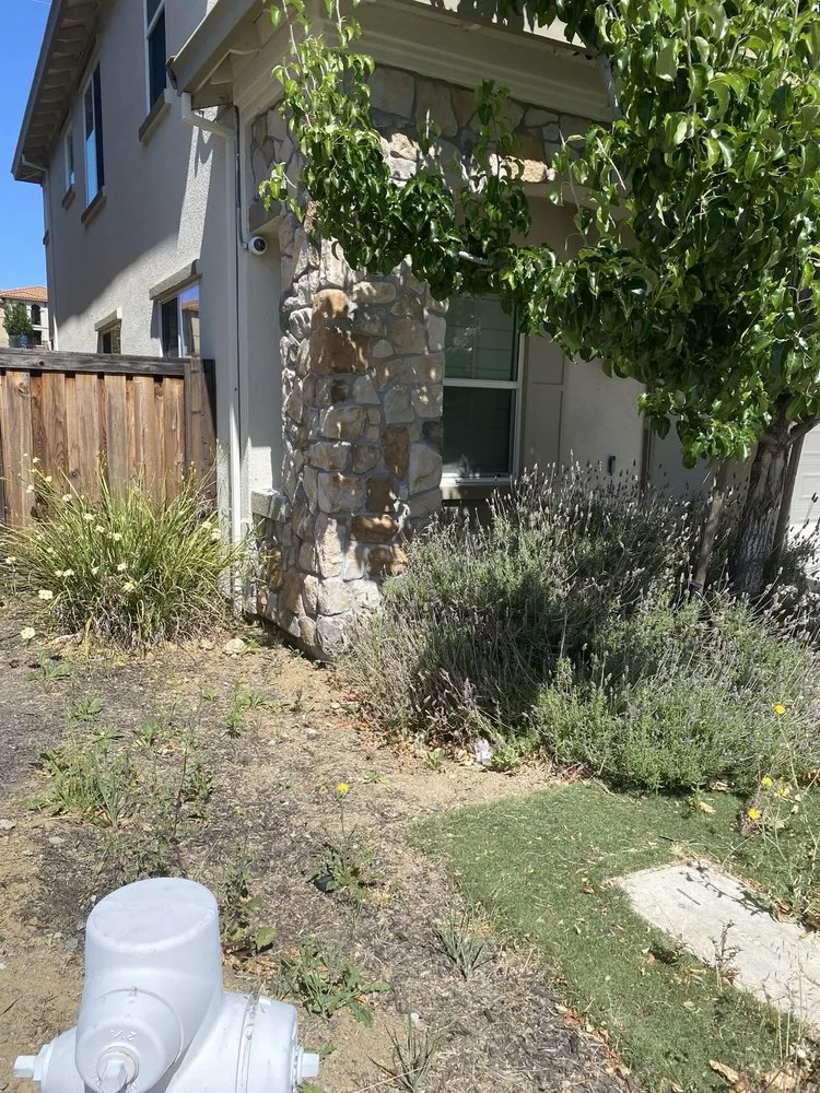 Local outdoor landscaping in San Jose, CA - South Bay Cleaning & Landscaping Services