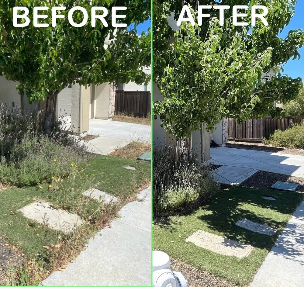 Expert landscape design with custom design in San Jose, CA by South Bay Cleaning & Landscaping Services