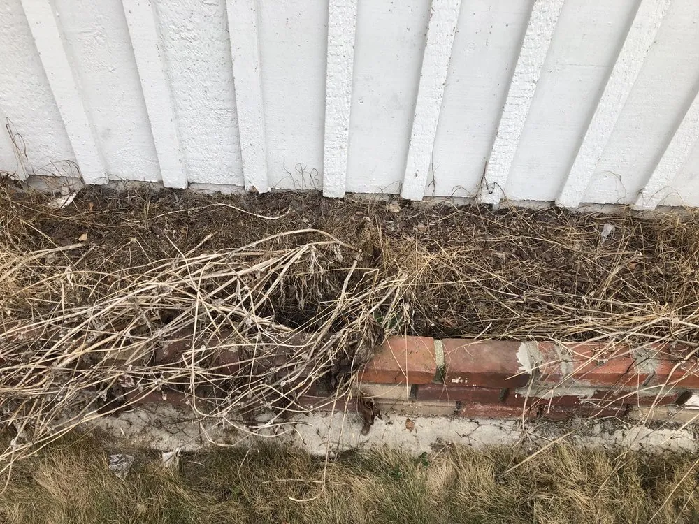 Top-rated lawn mowing service with custom design across Manhattan Beach, CA - South Bay Curb Appeal