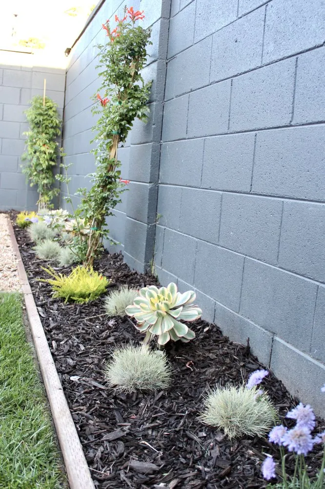 Affordable yard cleanup service in Manhattan Beach, CA by South Bay Curb Appeal