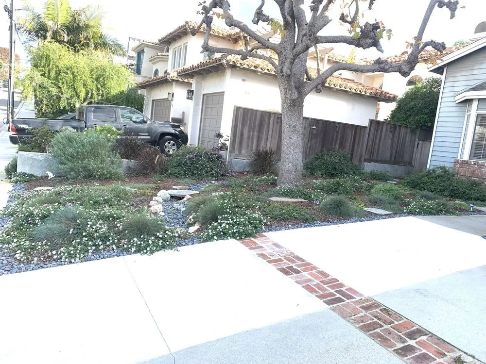 Local landscaping services in Manhattan Beach, CA by South Bay Curb Appeal