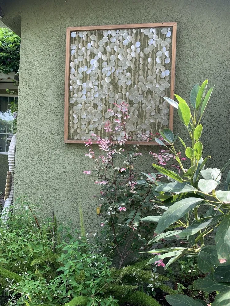 Expert yard cleanup service in Manhattan Beach, CA - South Bay Curb Appeal