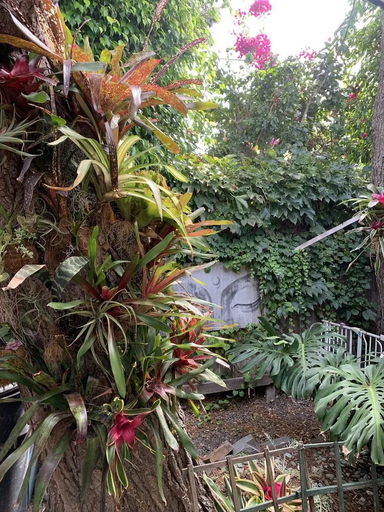 Expert landscape installation in Manhattan Beach, CA - South Bay Curb Appeal