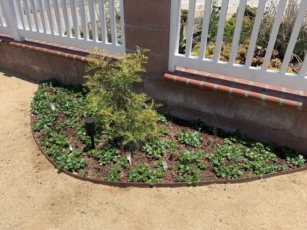 Affordable outdoor landscaping experts serving Manhattan Beach, CA - South Bay Curb Appeal