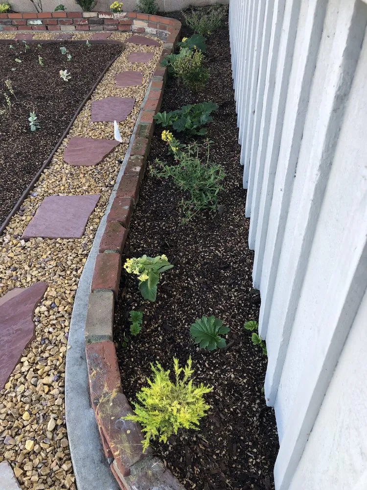 Local yard maintenance for homes across Manhattan Beach, CA - South Bay Curb Appeal