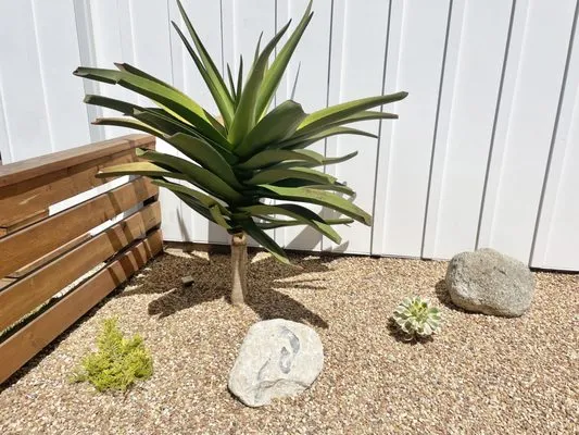 South Bay Curb Appeal