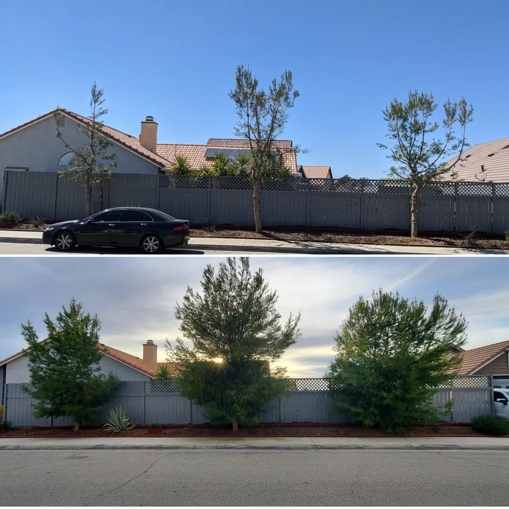 Local lawn mowing service in Bakersfield, CA by South Bay Lawn Care and Landscaping