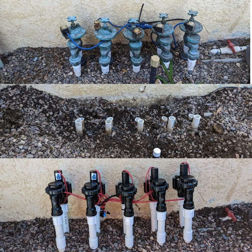 Top-rated lawn care service in Bakersfield, CA by South Bay Lawn Care and Landscaping