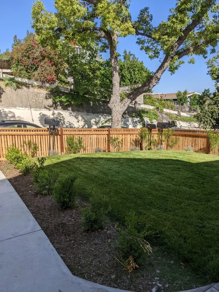 Trusted landscape design for outdoor upgrades across Redondo Beach, CA - South Bay Lawn Care and Landscaping