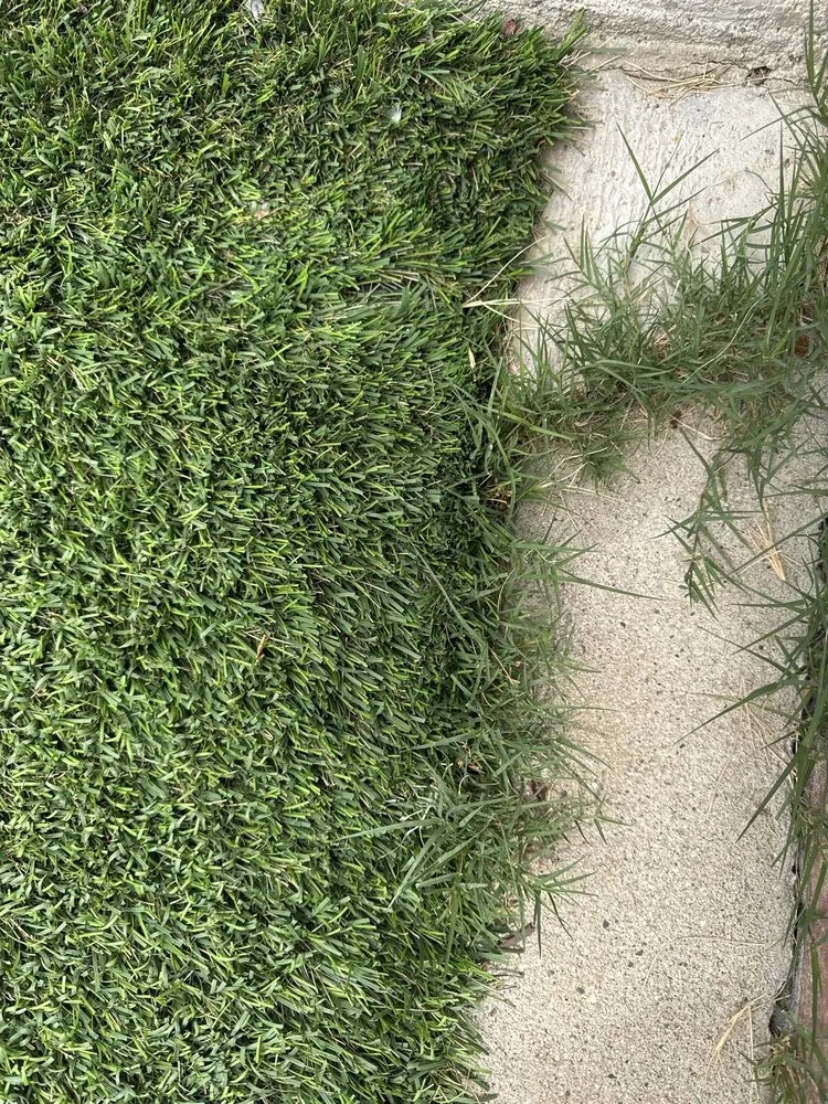 Reliable garden landscaping experts serving Redondo Beach, CA - South Bay Lawn Care and Landscaping