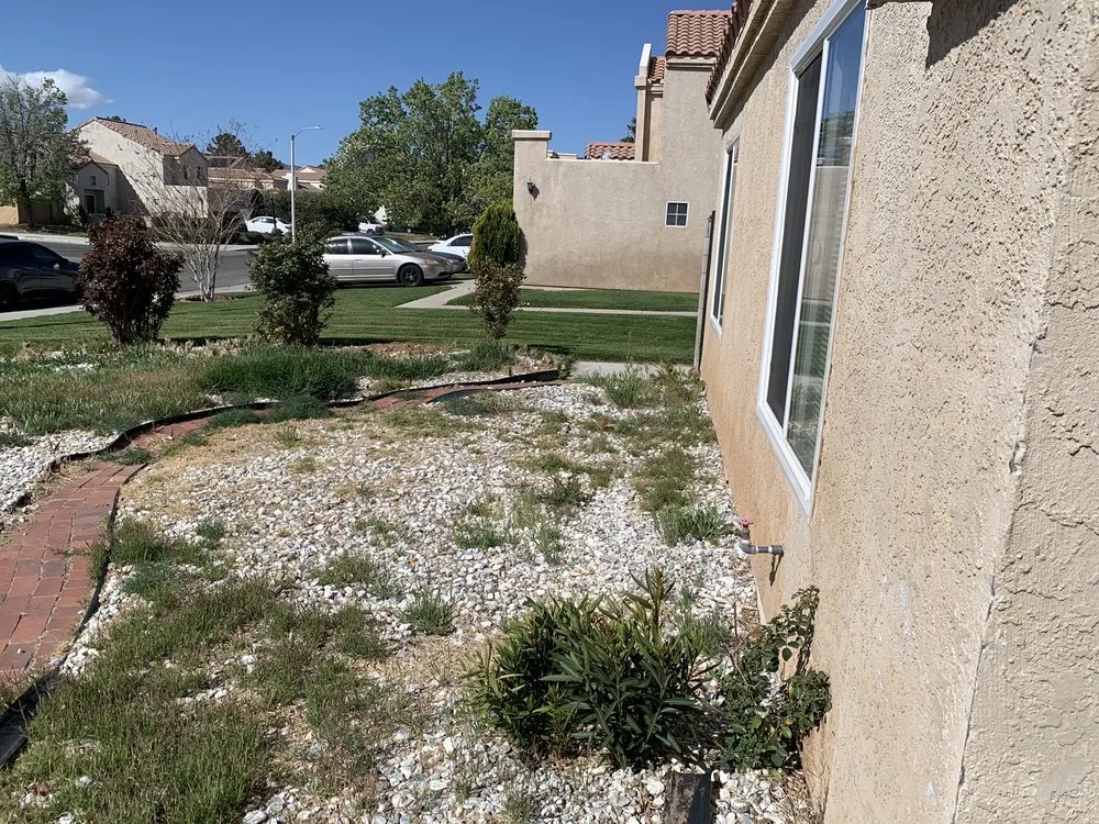 Affordable yard cleanup service for year-round maintenance across Redondo Beach, CA - South Bay Lawn Care and Landscaping