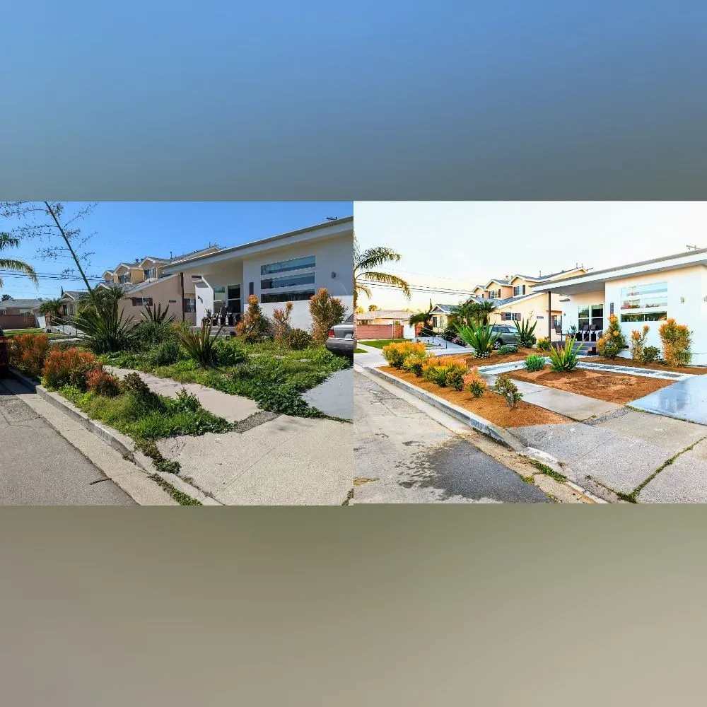 Custom yard cleanup service for residential properties across Redondo Beach, CA - South Bay Lawn Care and Landscaping