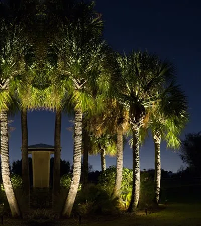 Trusted landscaping services near you across Redondo Beach, CA - South Bay Lights