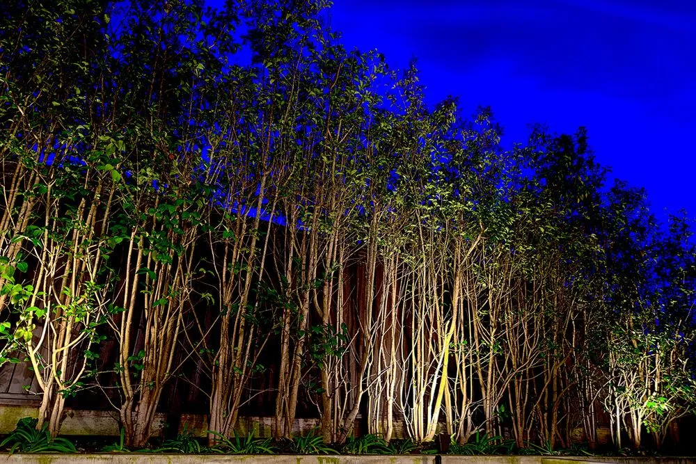 Trusted lawn mowing service experts serving Redondo Beach, CA - South Bay Lights