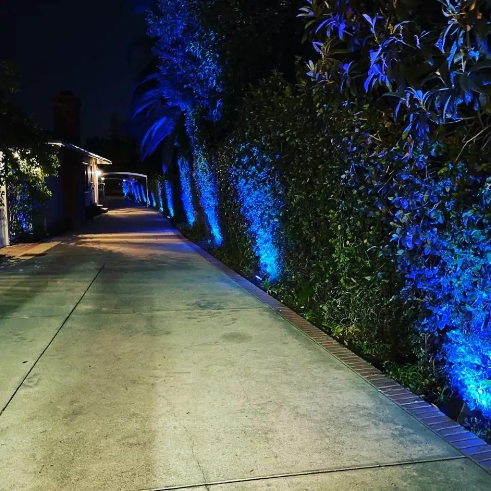 Reliable yard maintenance for beautiful yards across Redondo Beach, CA - South Bay Lights