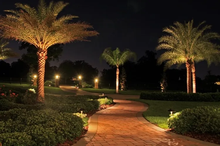 Top-rated yard maintenance for homes in Redondo Beach, CA by South Bay Lights