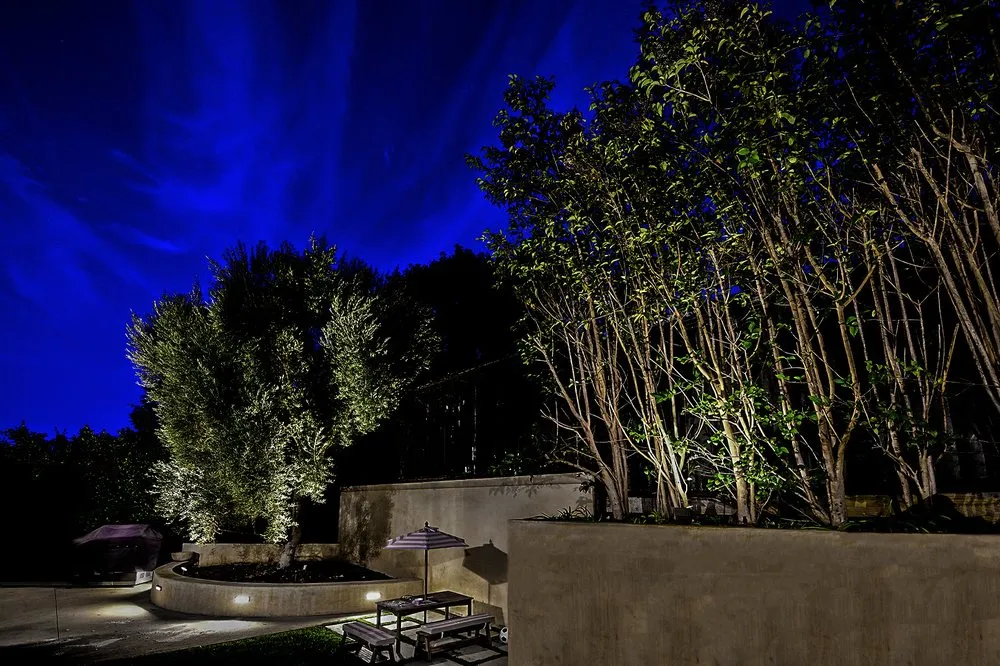 Professional yard cleanup service in Redondo Beach, CA by South Bay Lights