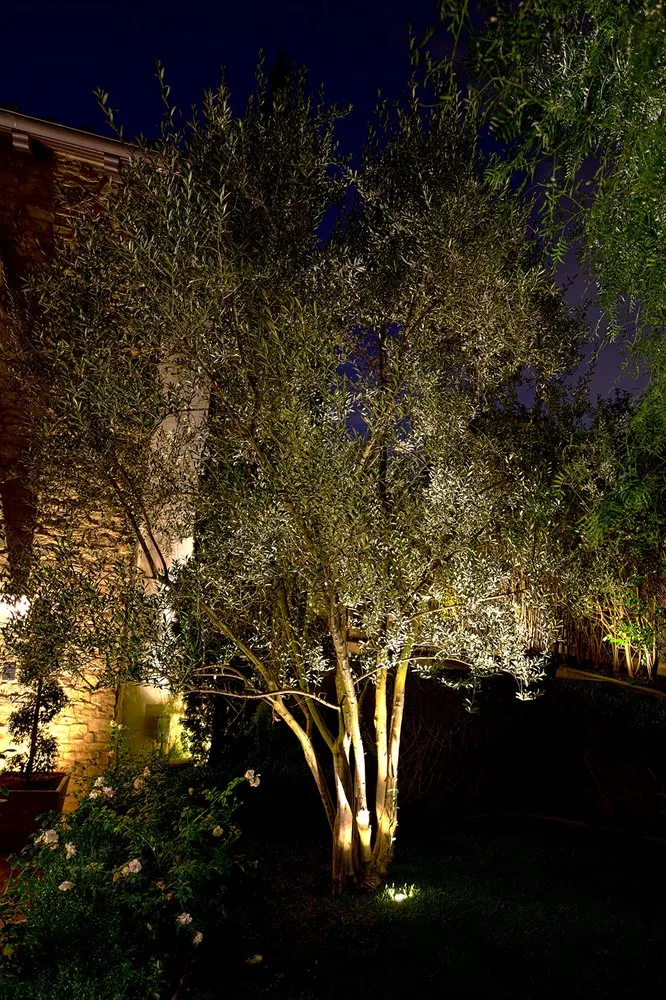 Expert landscape design for beautiful yards in Redondo Beach, CA by South Bay Lights
