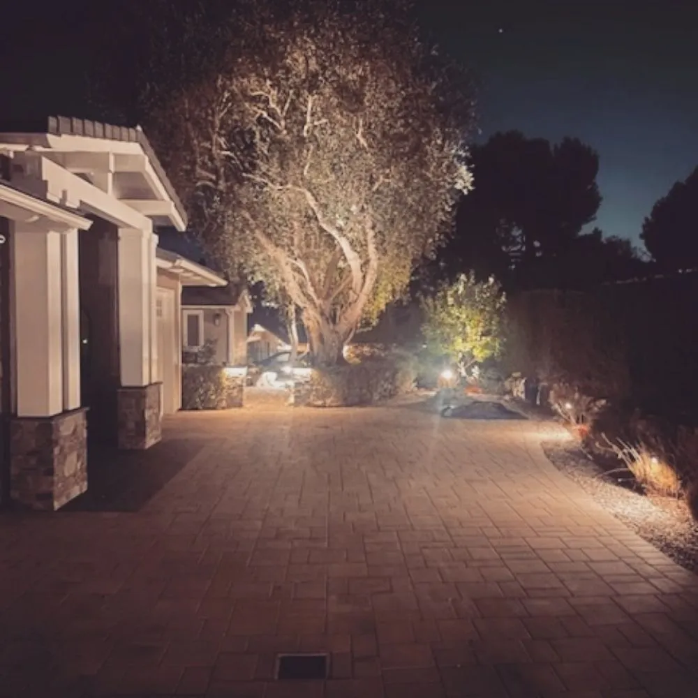 Reliable yard cleanup service in Redondo Beach, CA by South Bay Lights