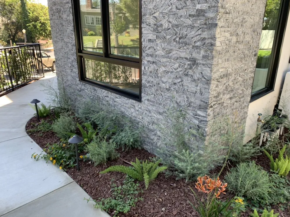 Expert landscape installation in Carson, CA - South Bay Roots