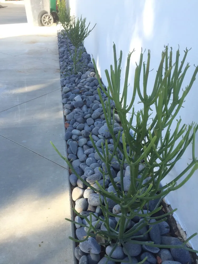 Reliable landscape installation experts serving Carson, CA - South Bay Roots