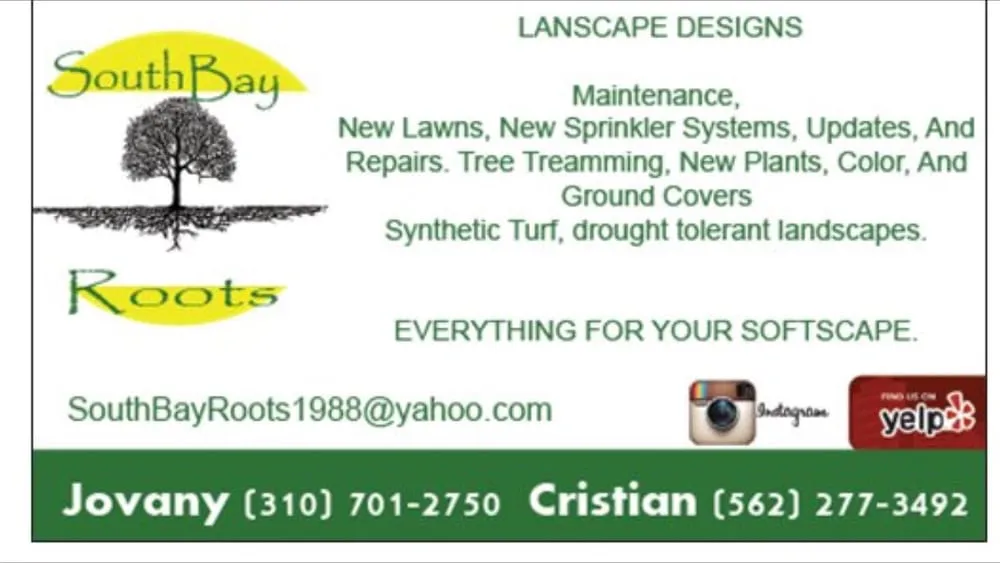 Affordable outdoor landscaping for outdoor upgrades across Carson, CA - South Bay Roots