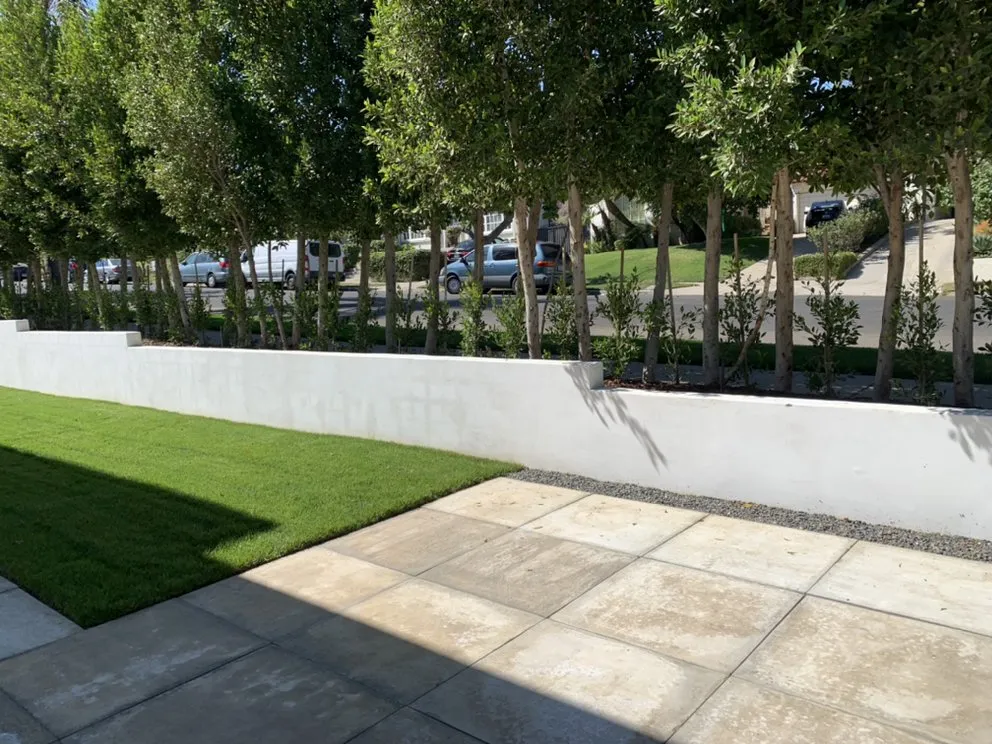 Expert residential landscaping in Carson, CA - South Bay Roots