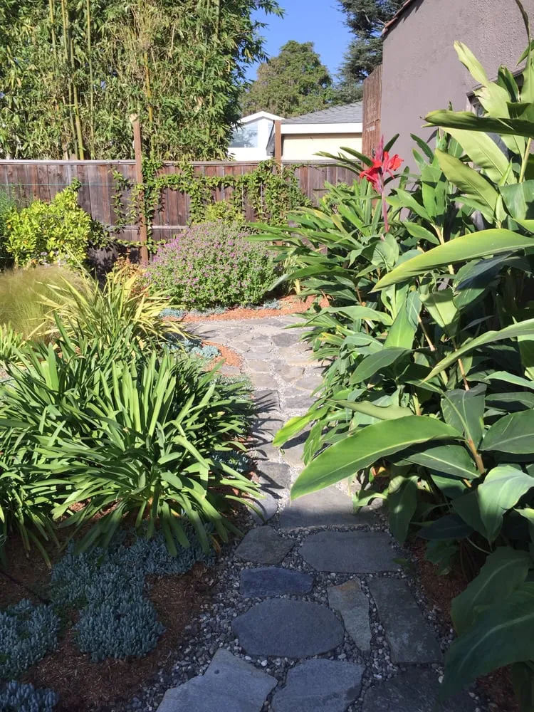 Professional outdoor landscaping in Carson, CA - South Bay Roots