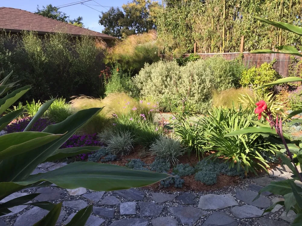 Custom lawn mowing service experts serving Carson, CA - South Bay Roots