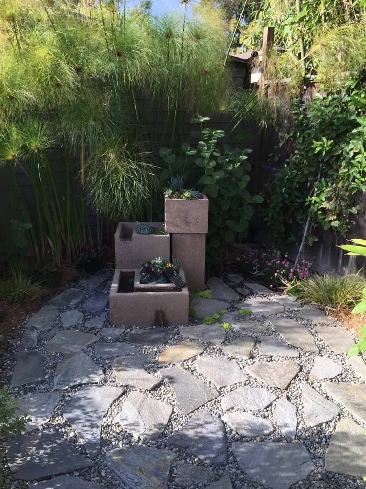 Reliable yard maintenance for residential properties across Carson, CA - South Bay Roots