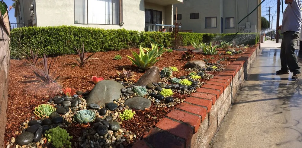 Trusted lawn mowing service experts serving Carson, CA - South Bay Roots