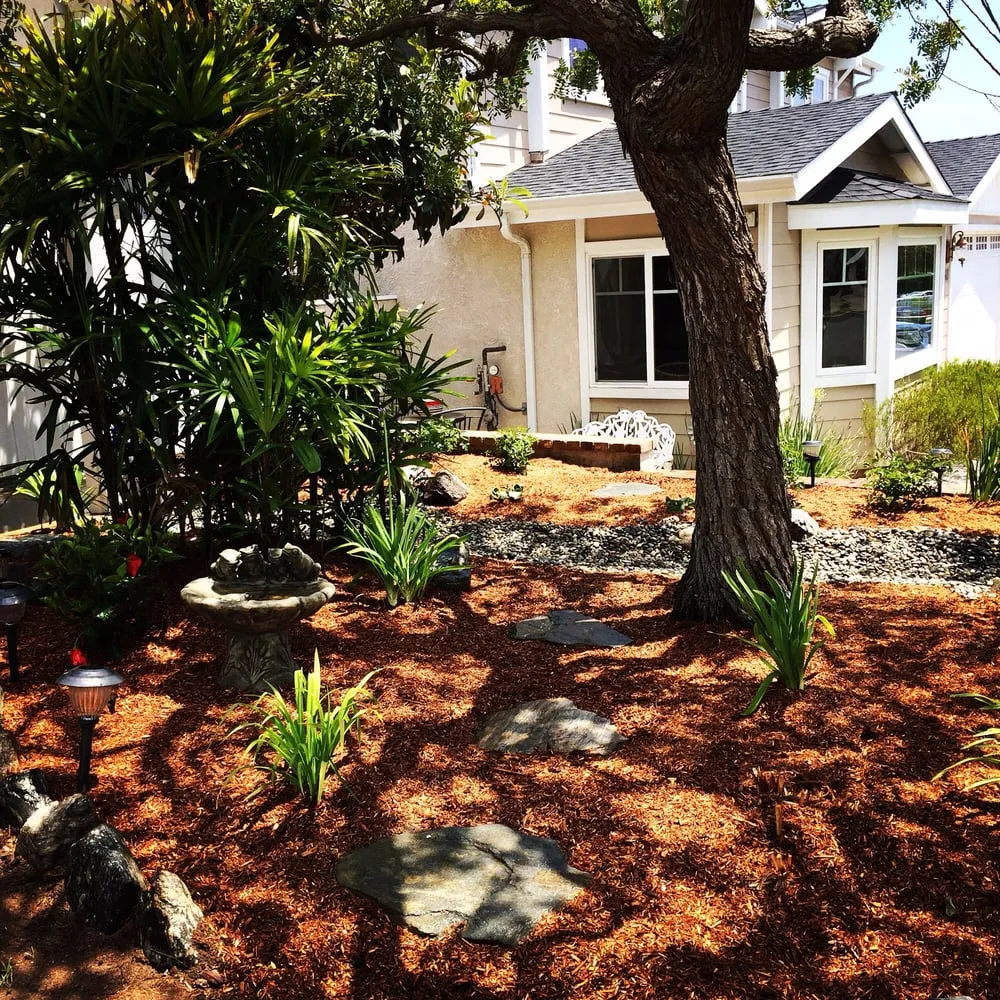 Professional lawn mowing service for outdoor upgrades across Carson, CA - South Bay Roots