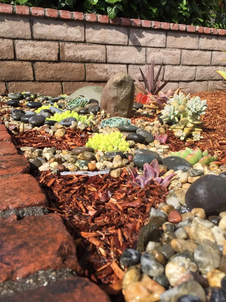 Trusted outdoor landscaping for outdoor upgrades in Carson, CA by South Bay Roots