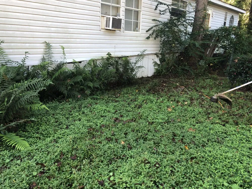 Custom yard maintenance in Summerville, SC - South Carolina Turf Pros