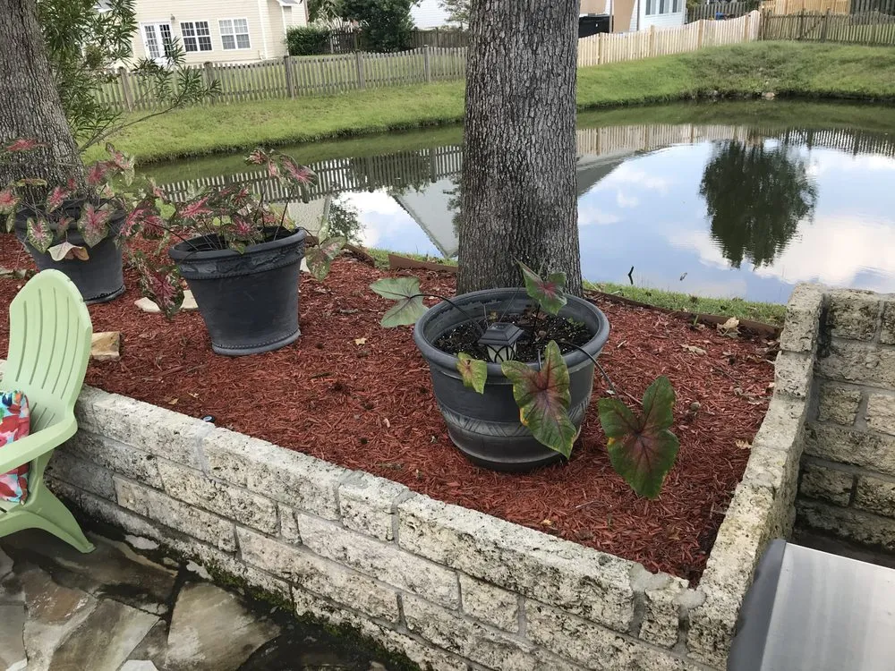 Trusted landscape design for outdoor upgrades across Summerville, SC - South Carolina Turf Pros