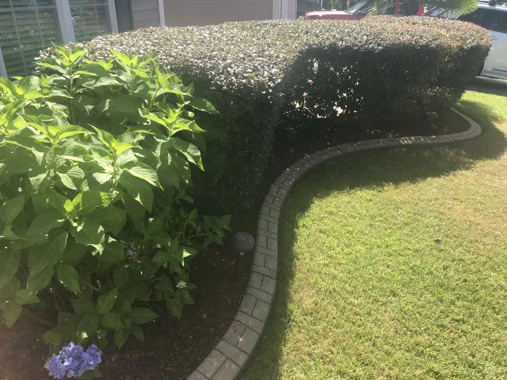 Local lawn mowing service for year-round maintenance in Summerville, SC by South Carolina Turf Pros