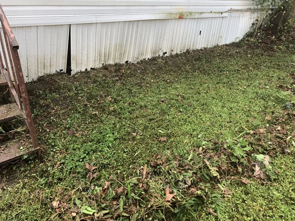 Top-rated outdoor landscaping experts serving Summerville, SC - South Carolina Turf Pros