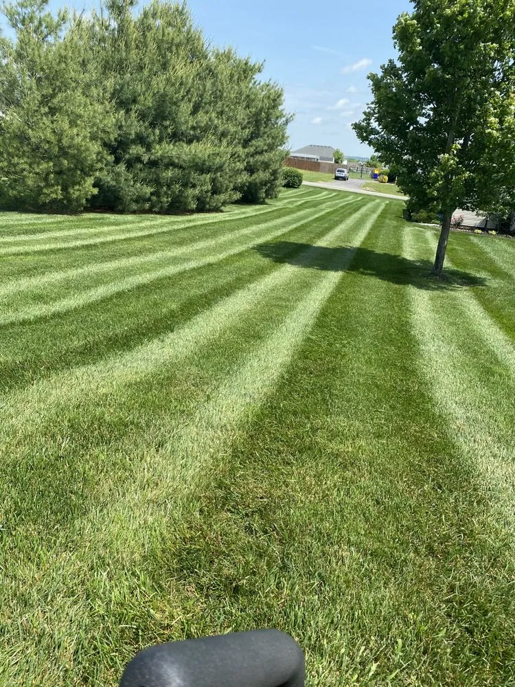 Top-rated landscape design in Russellville, KY - South Central Outdoors