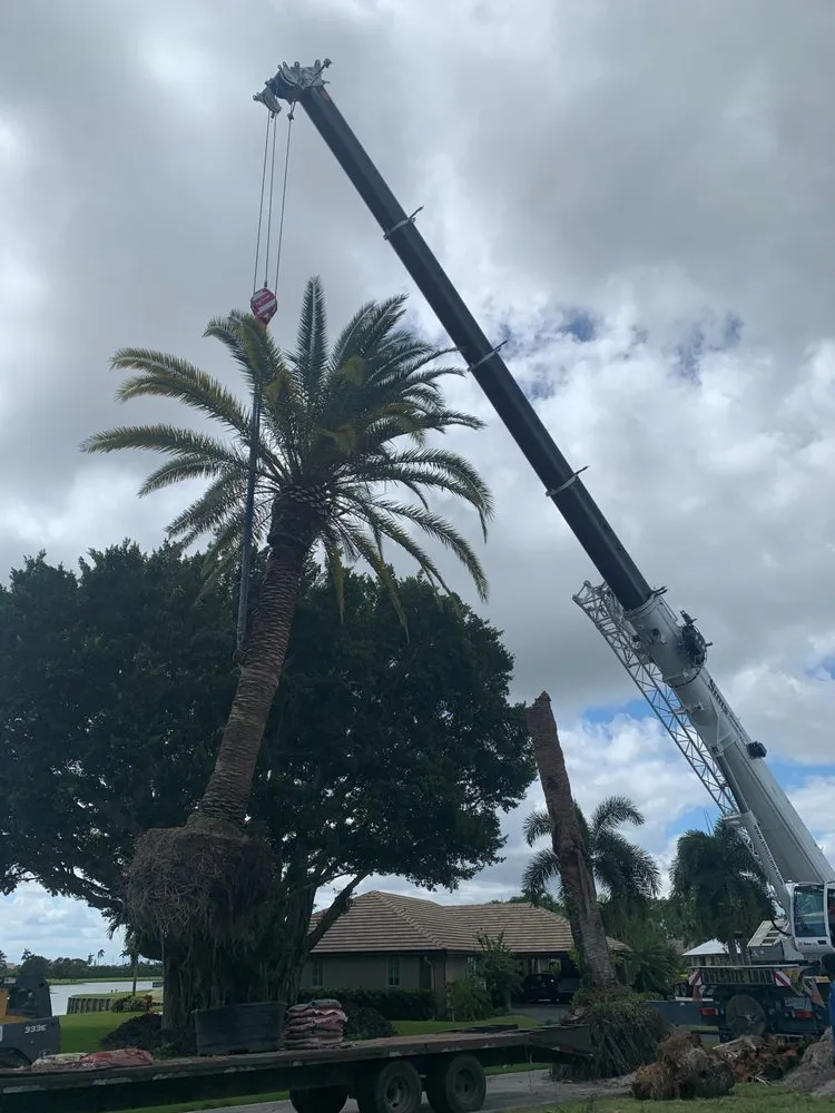 Trusted yard cleanup service for residential properties in Lake Worth, FL by South Coast Grower