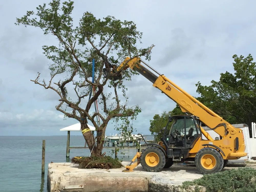 Trusted yard maintenance experts serving Lake Worth, FL - South Coast Grower