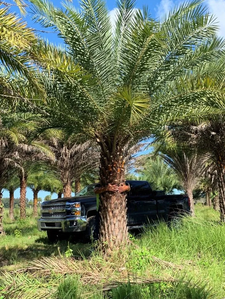 Trusted yard maintenance with custom design across Lake Worth, FL - South Coast Grower